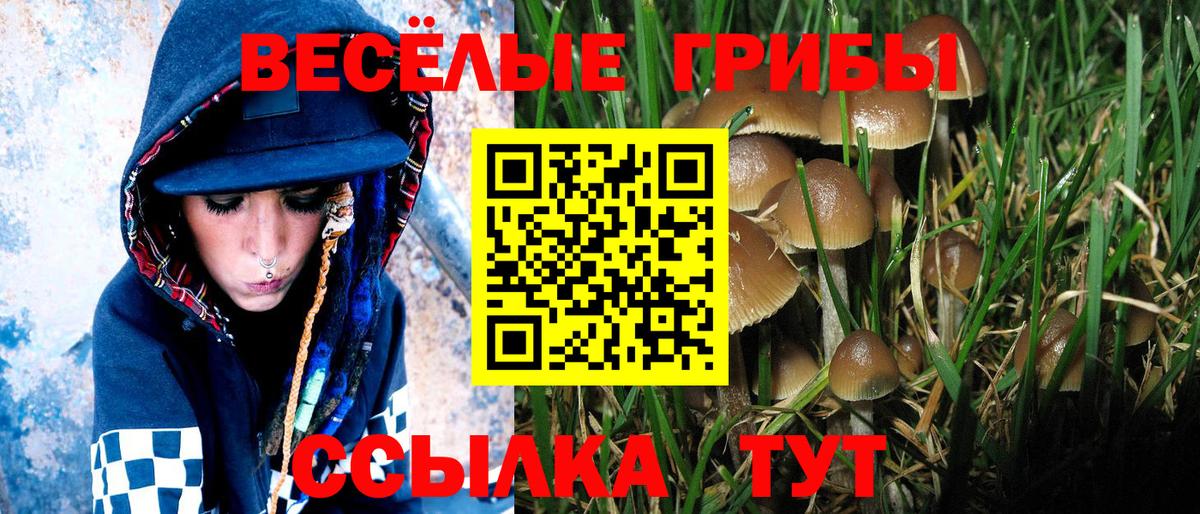 Феодосия  Псилоцибиновые грибы ЛСД  Галлюциногенные грибы MAGIC MUSHROOMS  Вход с VPN 